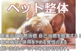 ペットの整体 ペットの整体